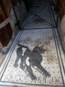 One entrance to a lavish private home has "Cave Canem" (Beware of the Dog) integrated in the tile floor. 