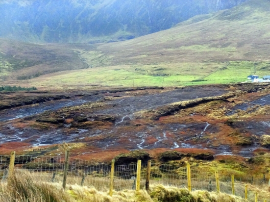 We passed a number of sites where peat was being harvested. These bogs of ancient organic matter have been providing fuel in Ireland for thousands of years.